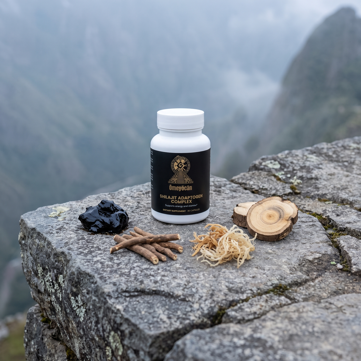 Omeyocan Shilajit Adaptogen Complex bottle with raw shilajit, ashwagandha, sea moss, and tongkat ali ingredients on an Andean stone terrace ledge