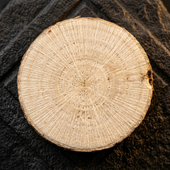 Sliced tongkat ali root macro on basalt