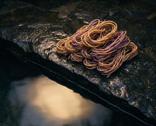 Dried sea moss strands on wet dark stone beside a cenote pool